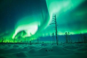 A. Pietikainen took this shot, posted by @Aurora_Zone of the UK. It's one of the most fantastic aurora shots we've ever seen: pic.twitter.com/qbA9C048jH Isn't it just magical?