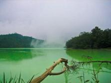Kanishka (@kp1200) of India shared this serene and green landscape of Indonesia: pic.twitter.com/bhjXGbWBrl