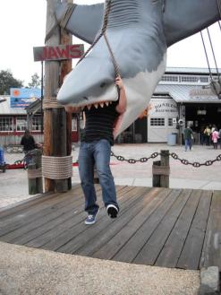 Who says we take things seriously? Ben (@HugePartyTravel) of the USA obviously doesn't either, so he posted this photo of his close encounter with Jaws: http://t.co/sz3AWHgy2y