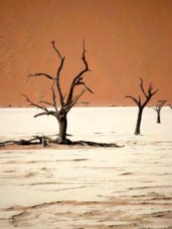 Paul Caddy (@PaulSCaddy) of the UK capture Namibia's stark landscape perfectly: pic.twitter.com/7Tt4bhuYSM