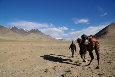 Two camel photos, very different places. Co-host Shane Dallas (@TheTravelCamel) of Dubai went camel trekking in Tajikistan: http://t.co/JqGMHzN5Yn