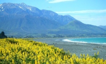Anja (@travelontoast) of Germany loves New Zealand--and it shows! http://t.co/jjMGGLSpzR