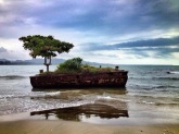 Exotic? Well, odd, at least! This shipwrecked tree photo from Costa Rica is brought to you by @WandaLusta of Sweden: https://twitter.com/WandaLusta/status/493847111688273920/photo/1