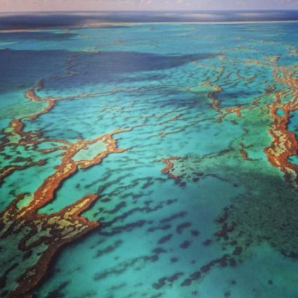 Ben Southall (@Bensouthall) of Australia--and of "Best Job in the World" fame--took this shot of the Great Barrier Reef that I just couldn't say no to: https://twitter.com/Bensouthall/status/503984422077468672/photo/1
